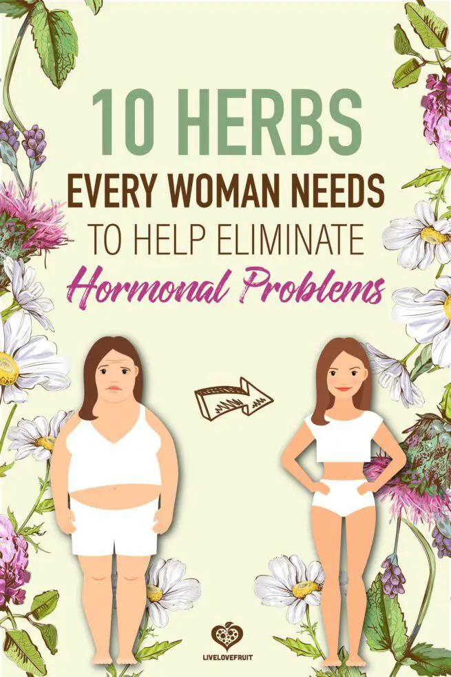 10 Herbs Every Woman Needs to Help Eliminate Hormonal Problems