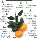 16 Healthy Habits to Improve Your Life