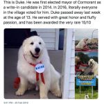 17 Of The Best Dog Posts The Internet Gave Us This Week
