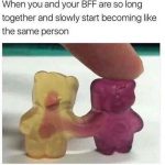 19 Memes That'll Make You Say, "OMG, That's 100% Me And My BFF!"