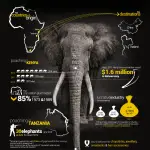 23 Intriguing African Elephant Population Statistics