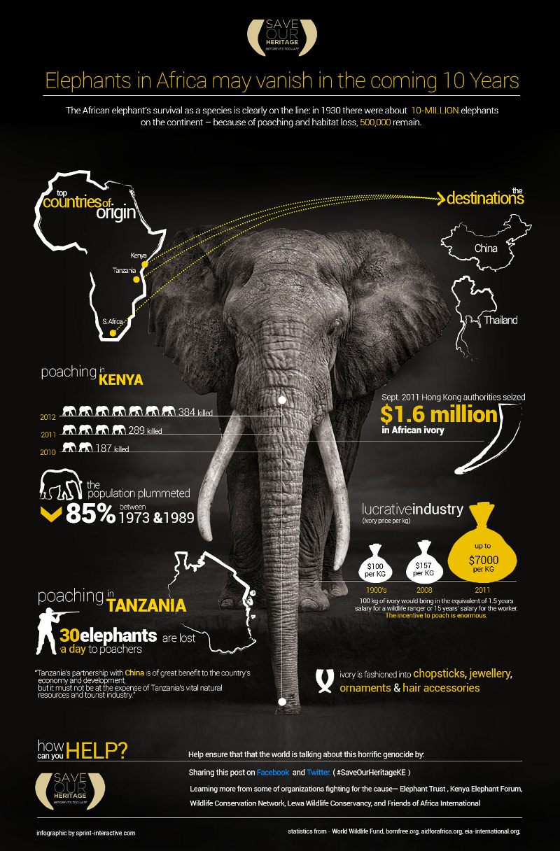 23 Intriguing African Elephant Population Statistics