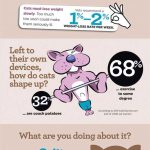 6 Cat Infographics In Honor of National Cat Day - Venngage