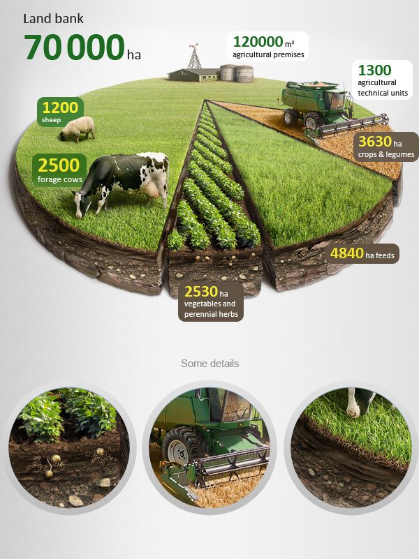 Agricultural 3D infographics