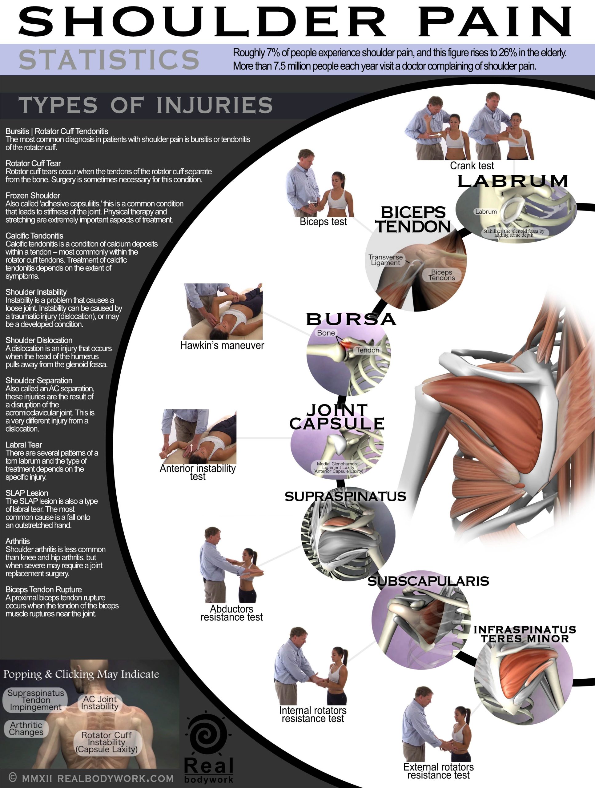 All About Shoulder Pain {Infographic}