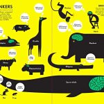 Big Thinkers of the Animal World | Daily Infographic