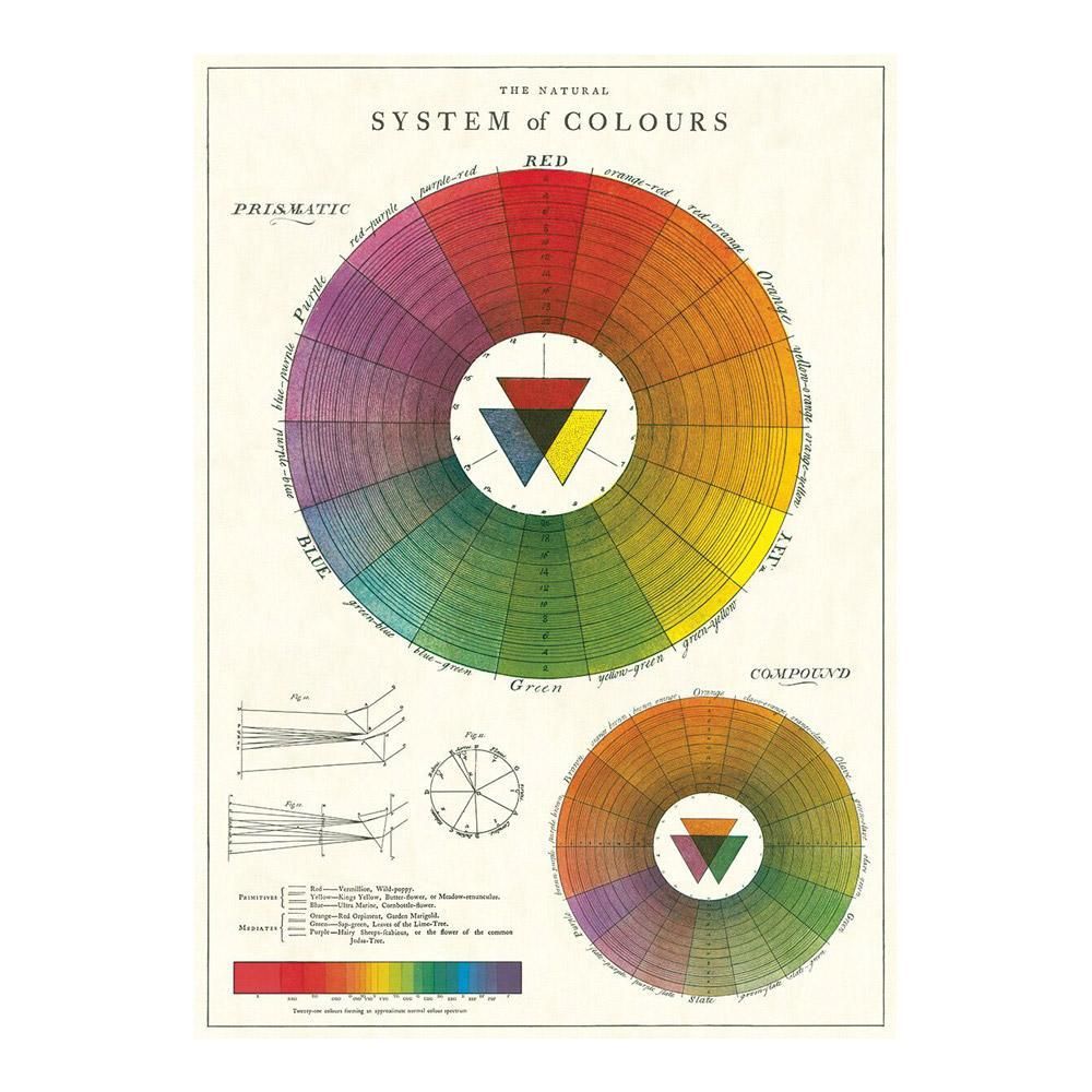 Cavallini & Co. Decorative Paper 20X28 - Solar System