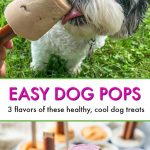 Easy Dog Pops - 3 Flavors To Treat Your Pup This Summer!
