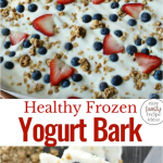 Frozen Yogurt Bark Recipe - Easy and Healthy - Easy Family Recipe Ideas