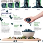 Health Benefits Of Blueberries (Infographic)