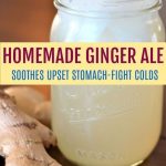 Homemade Ginger Ale