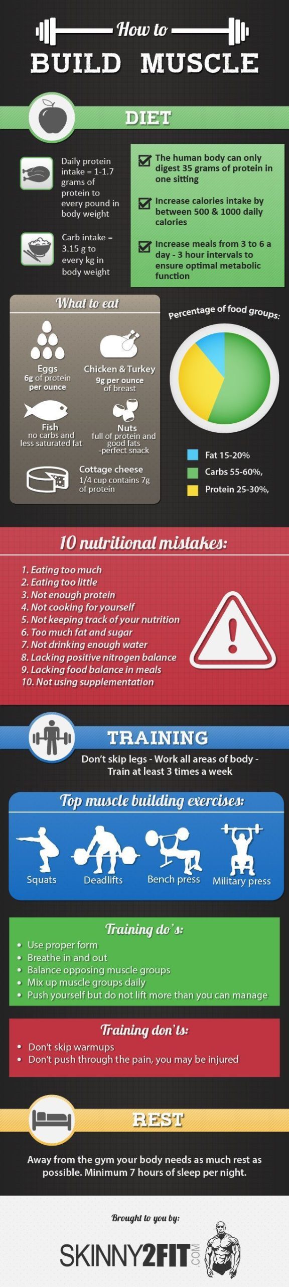 How to Build Muscle [infographic] — MO Marketplace