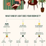 How to Choose the Perfect Houseplant [Infographic] - ePlanters
