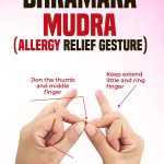 How to do Bhramara Mudra and What are Its benefits? -