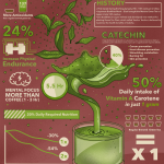 INFOGRAPHIC POSTER | HEALTHY MATCHA MORE