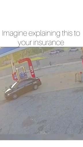 Imagie What The Insurance Company Will Say 😂😂😂