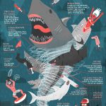Infographic: The Anatomy of a Sharknado