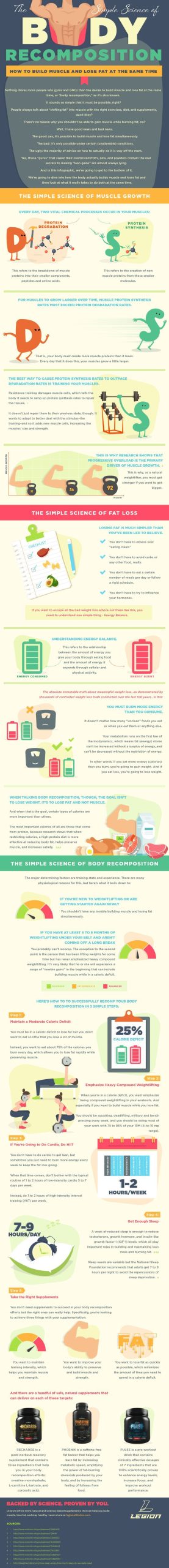 [Infographic] The Secret to Body Recomposition: Lose Fat & Gain Muscle - Legion Athletics
