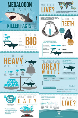 New - Killer Megalodon Infographic Posters