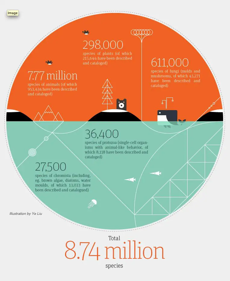 Planet Earth Infographic