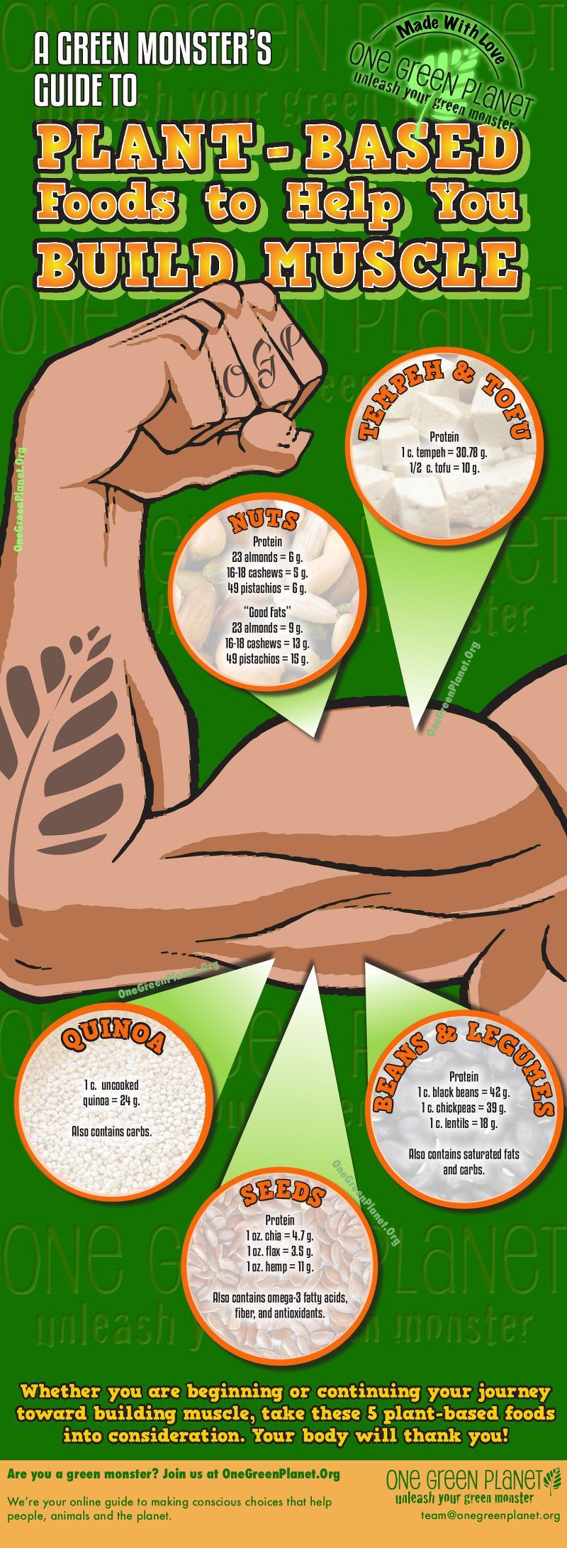 Plant-Based Foods That Will Help You Build Muscle [INFOGRAPHIC]
