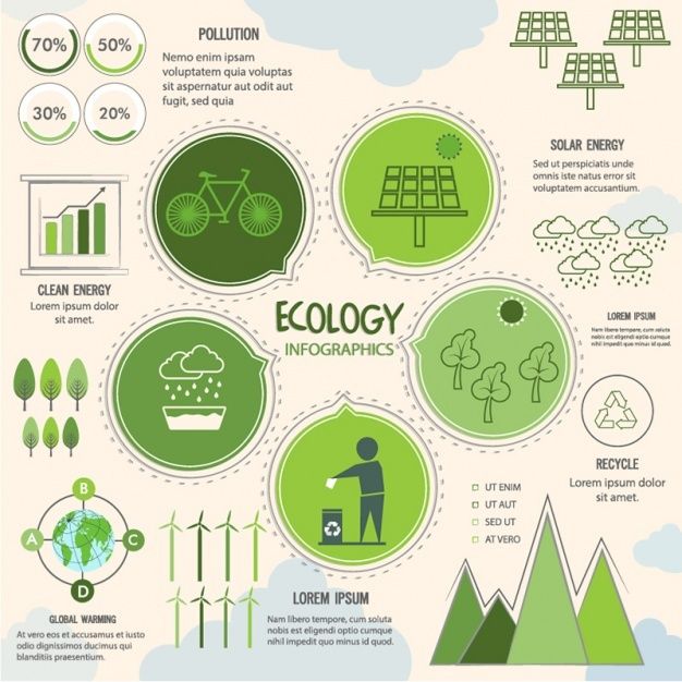 Premium Vector | Infography with different environmental factors