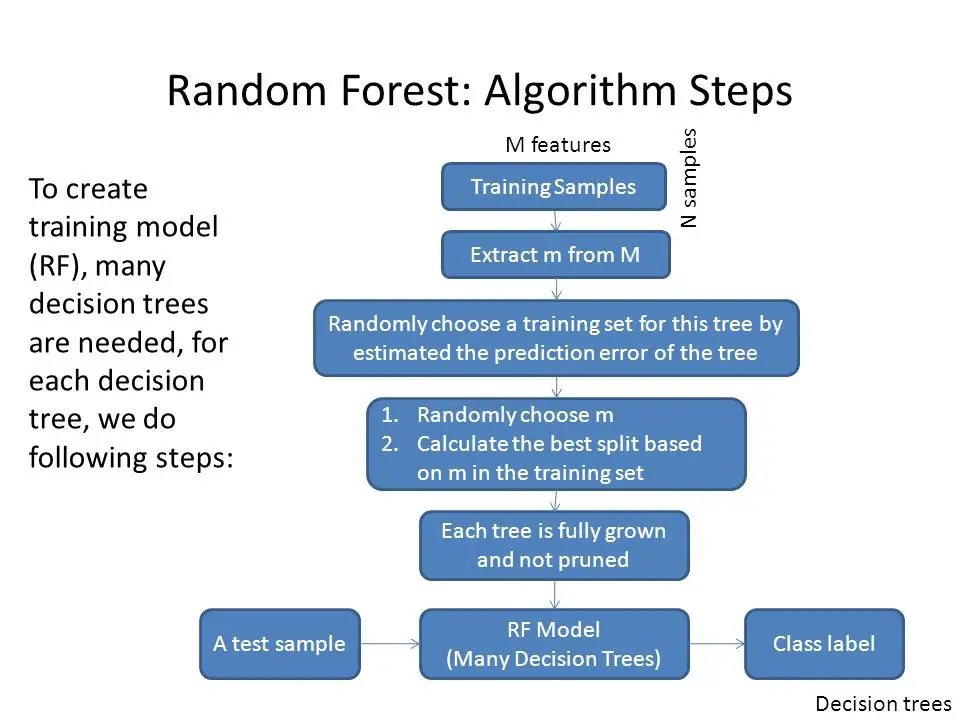 Random Forest Algorithm