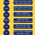 Ritual Vitamins Ingredient Nutrition Chart Explained