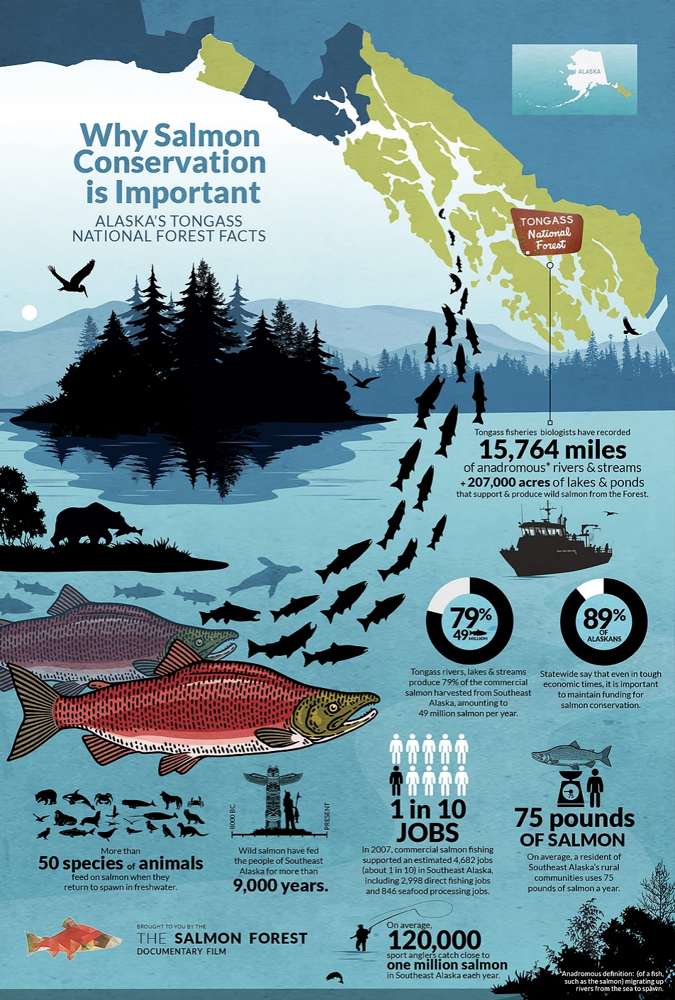 Salmon Conservation Infographic