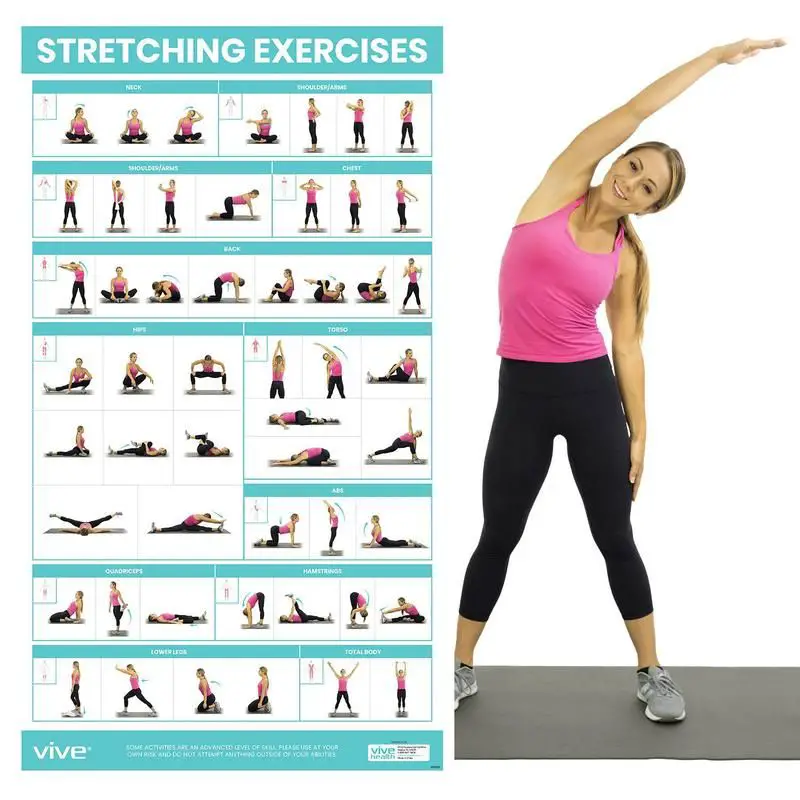 Stretching Workout Poster Vive