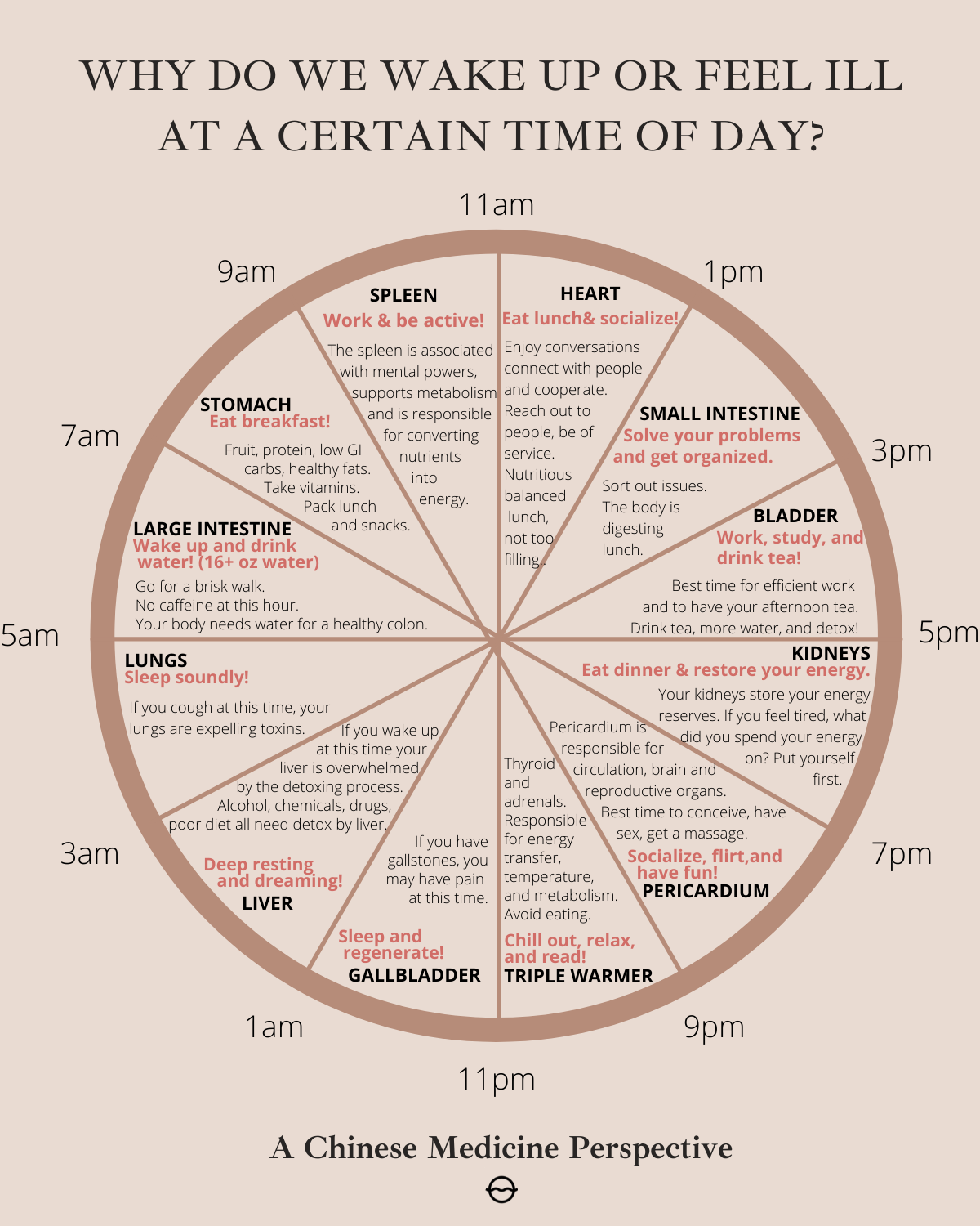 TCM Body Clock: Why Do We Wake Up or Feel Ill at a Certain Time of Day? - Organic Olivia