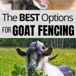The BEST Fencing Options for Goats