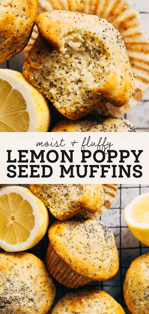 The BEST Lemon Poppy Seed Muffins | Butternut Bakery