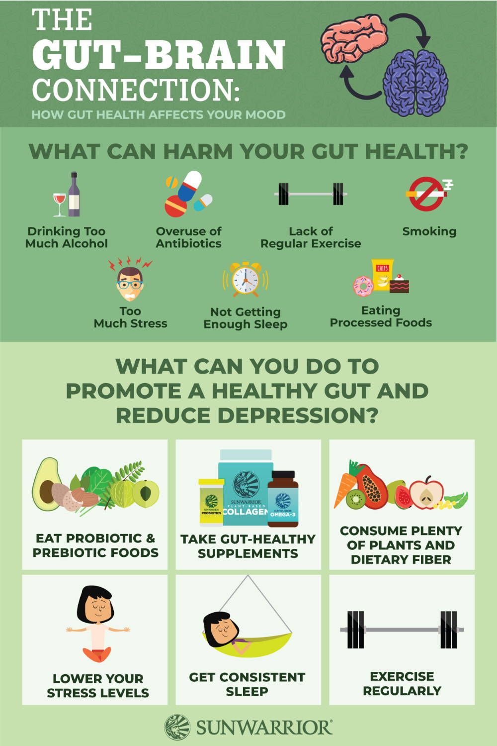 The Gut-Brain Connection: How Gut Health Affects Your Mood