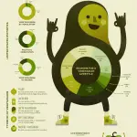 The Reasons So Many People Are Becoming Vegetarians | Daily Infographic