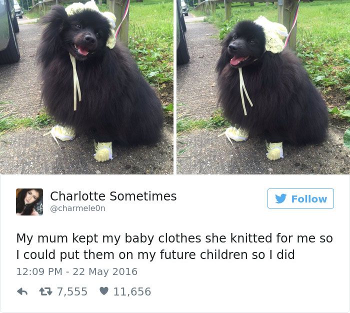 These 101 Of The Most Positive Things That Have Ever Happened On Twitter Are Exactly What The Internet Needs