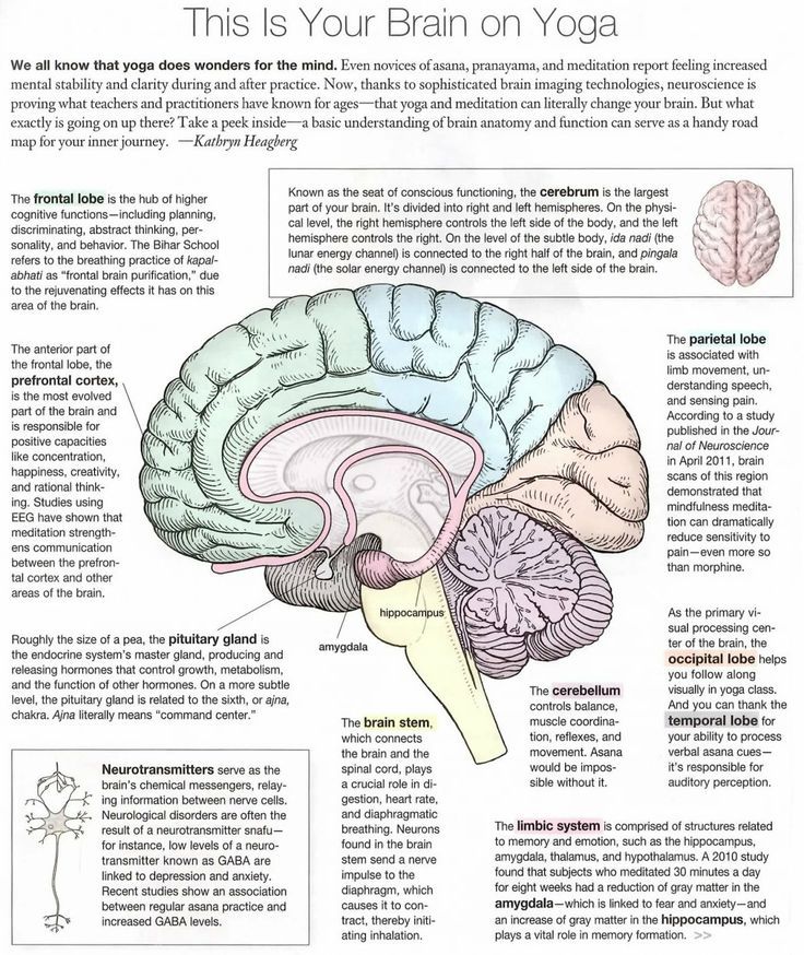 This is Your Brain on Yoga. {Infographic Magic} | elephant journal