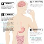 Your Body When You Overeat [Infographic] | Nutrition | MyFitnessPal