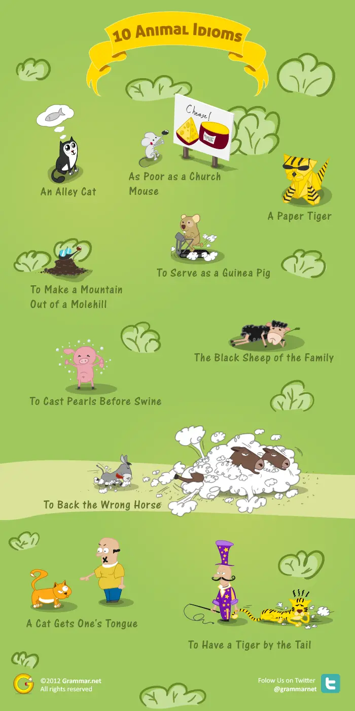 10 Animal Idioms and Their Meanings | Grammar Newsletter