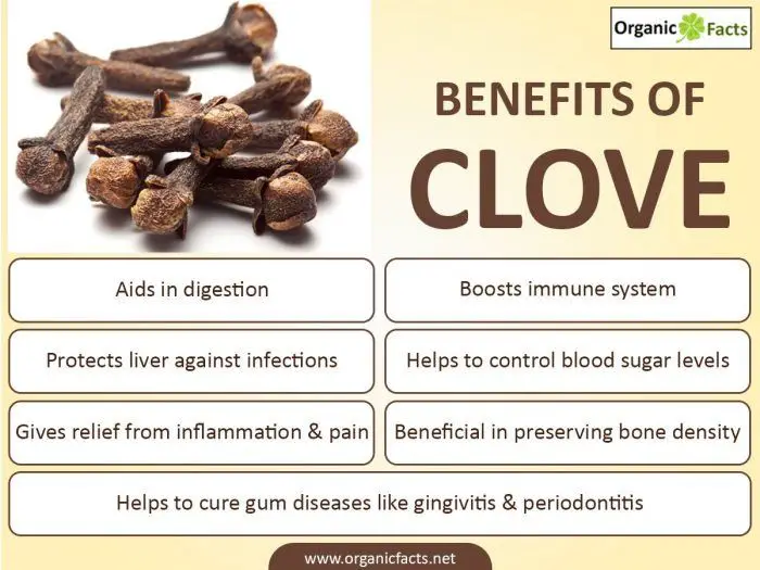 10 Surprising Health Benefits of Cloves | Organic Facts
