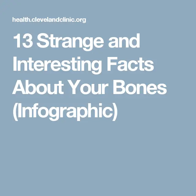 13 Strange and Interesting Facts About Your Bones