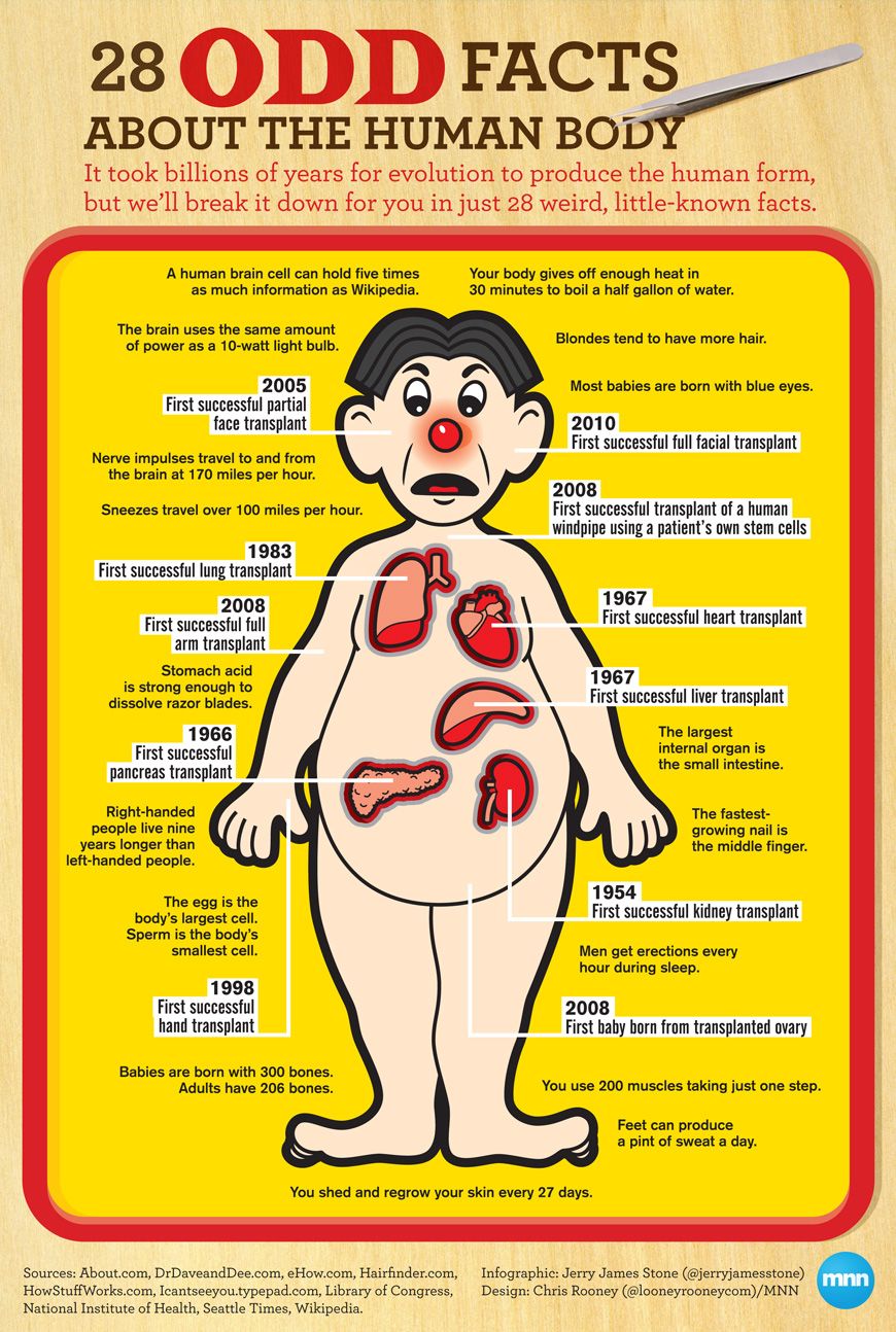 28 Odd Facts About the Human Body