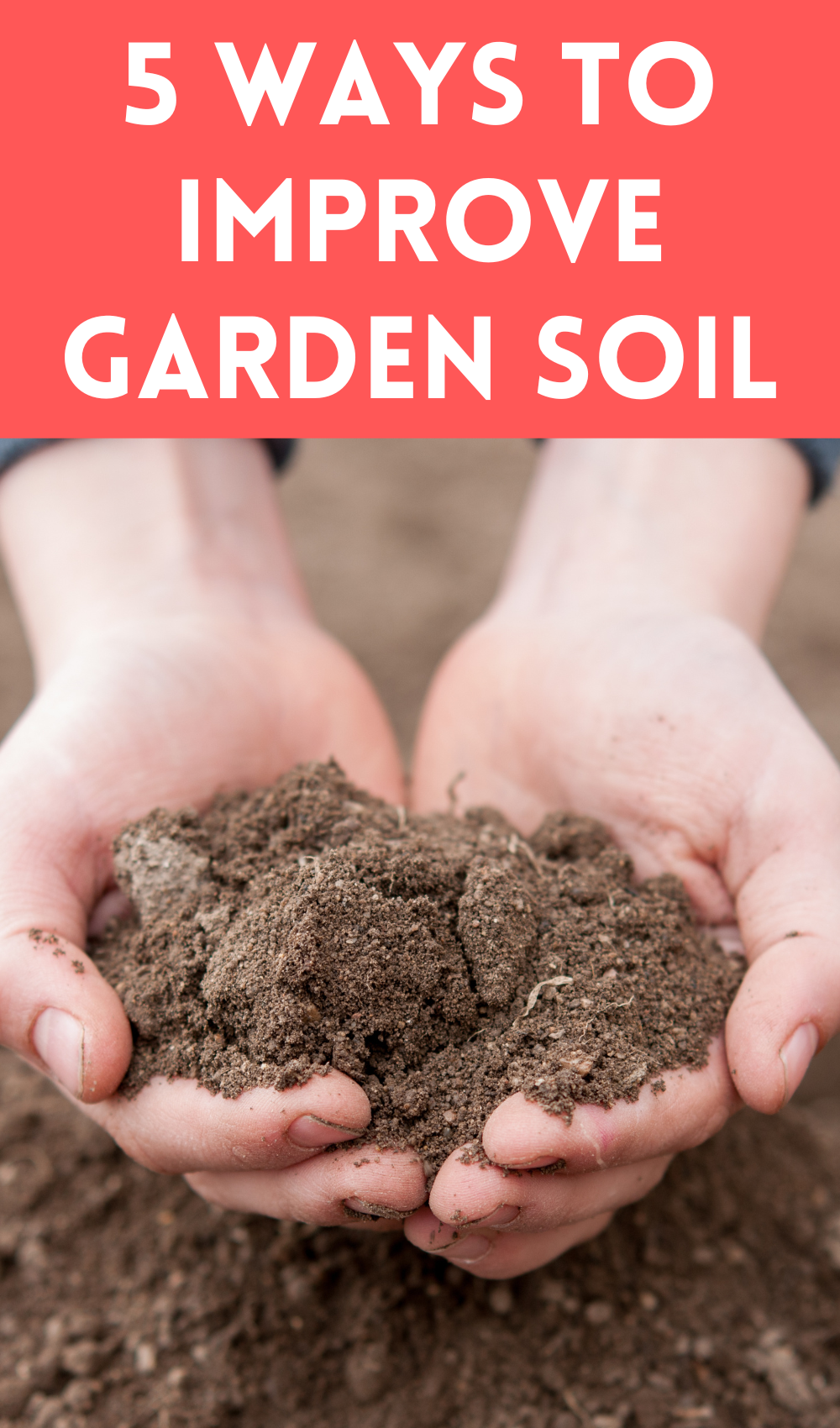 5 Ways To Improve Garden Soil