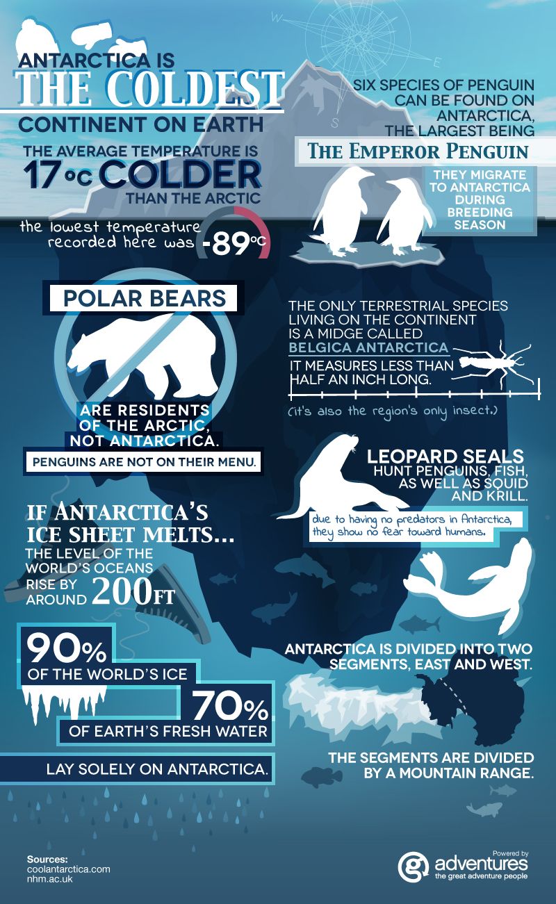 Antarctica Fun Facts [INFOGRAPHIC]