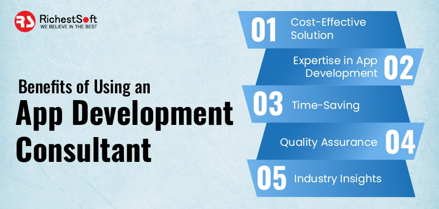 Benefits of Using an App Development Consultant