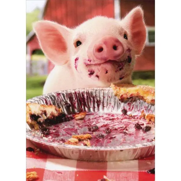 Avanti - Pig Pie Plate Birthday Card