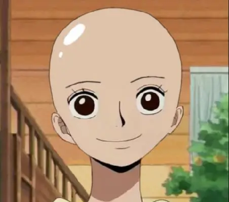 Bald Anime Characters | IM DYING