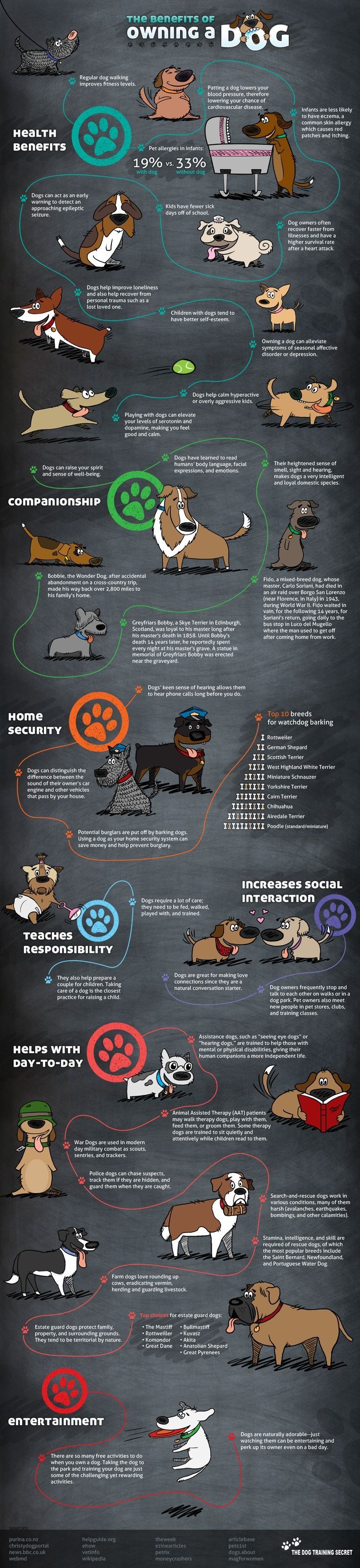 Benefits of Dog Ownership Infographic - Kurgo Dog Products
