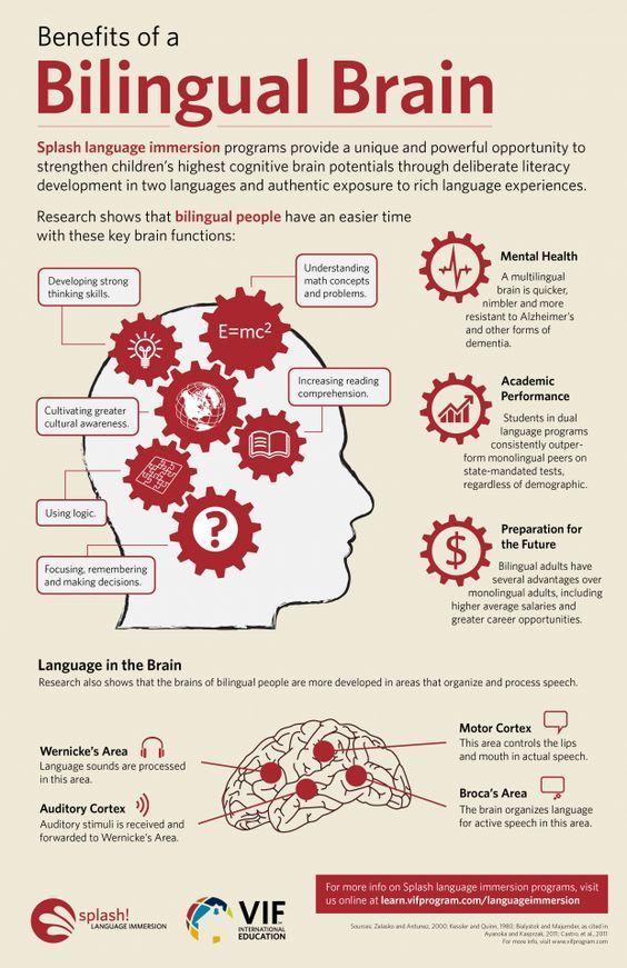 Benefits of a Bilingual Brain Infographic - e-Learning Infographics