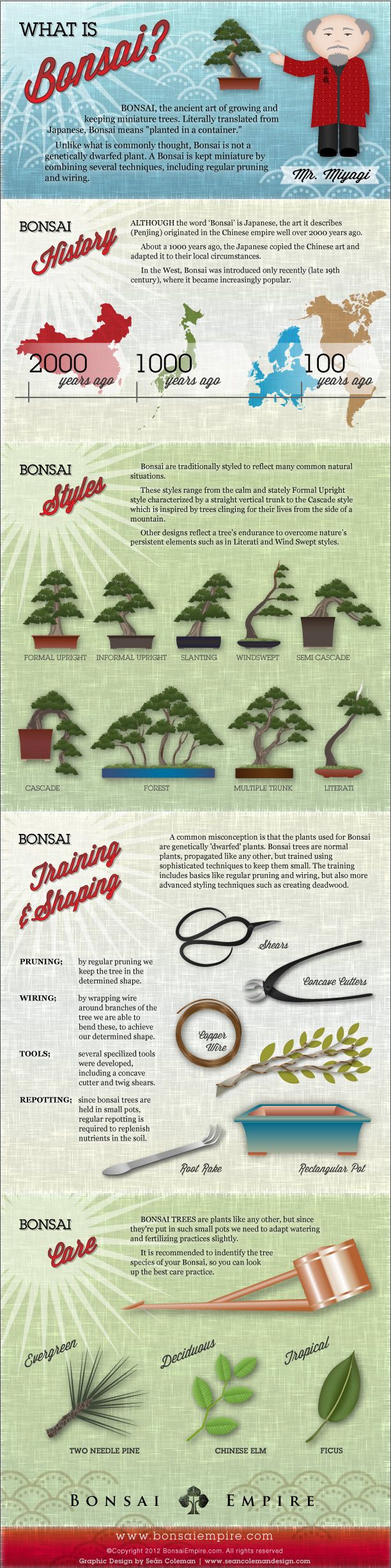 Bonsai infographic